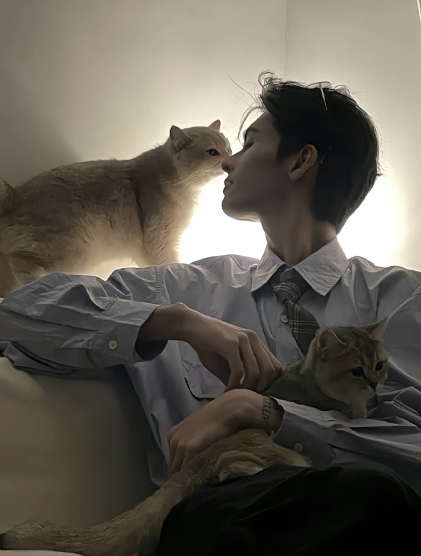 怪猫的第一张照片--太原相亲服务中心