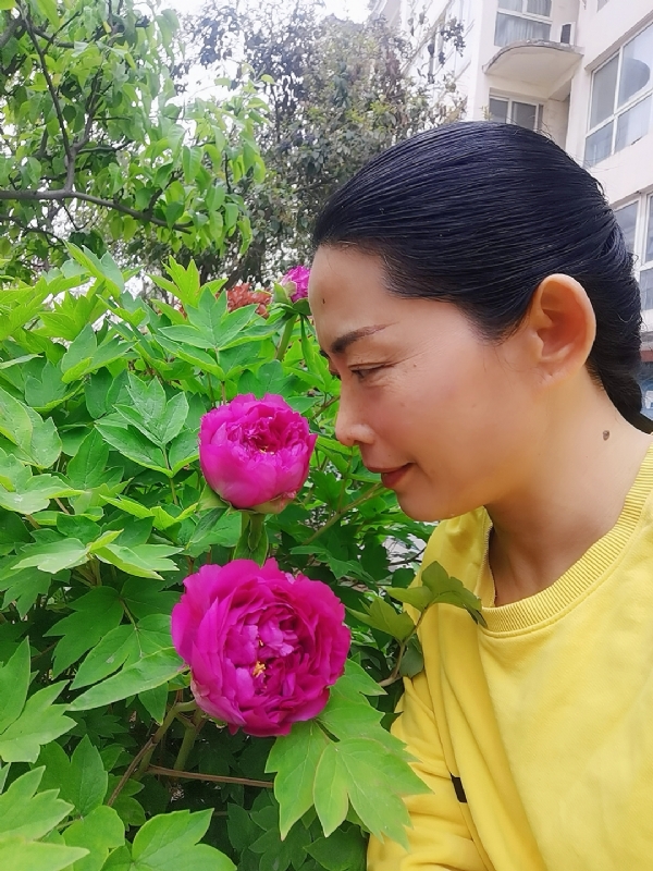 厚德载物的第一张照片--太原相亲服务中心
