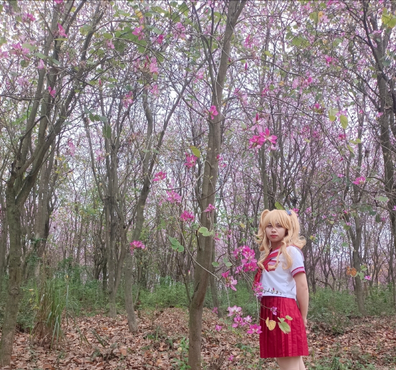 暮秋的第四张照片--太原相亲服务中心